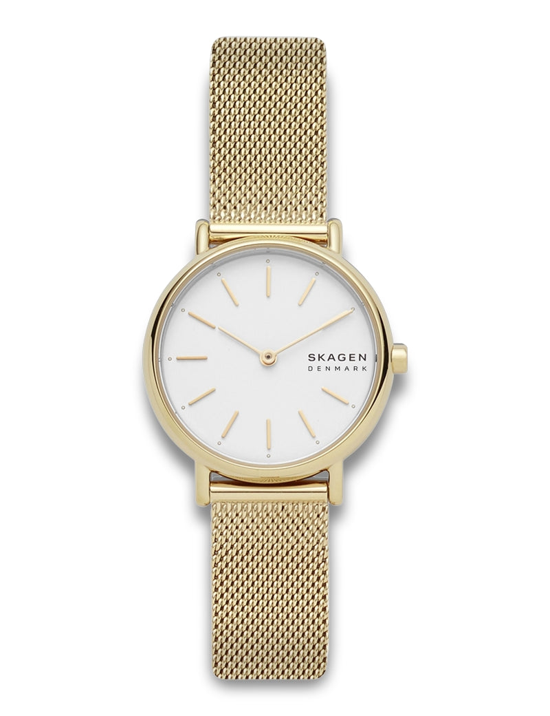 Skagen Signatur Lille SKW2693